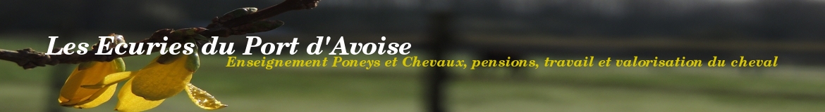 Les Ecuries du Port d'Avoise